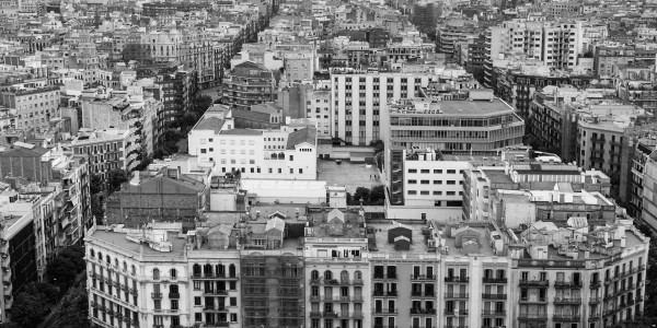 Delitos Contra la Propiedad / Urbanísticos en Cuenca · Parcelación en Suelo No Edificable