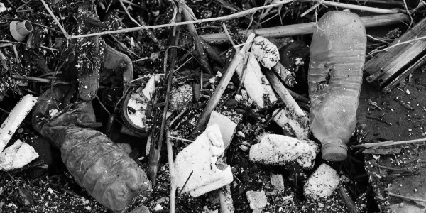 Delitos Societarios Fuentes · Delitos Contra los Recursos Naturales / Medioambiente