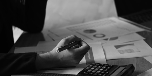 Delitos Societarios Fuentes · Delitos de Impedimento del Ejercicio de los Derechos Sociales