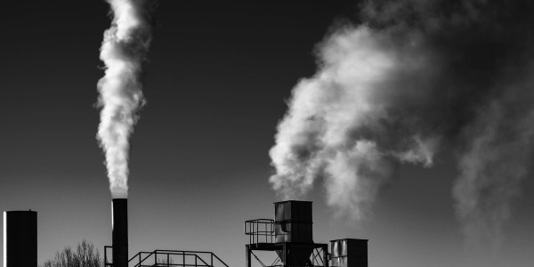 Delitos Societarios Fuentes · Delitos Contra el Medioambiente / Contaminación